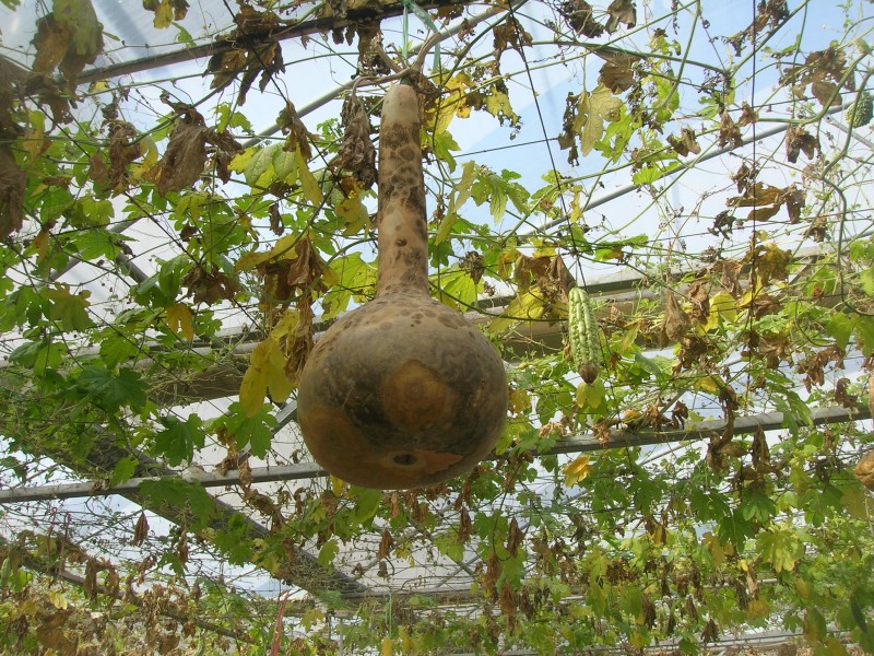 dscn4692.jpg