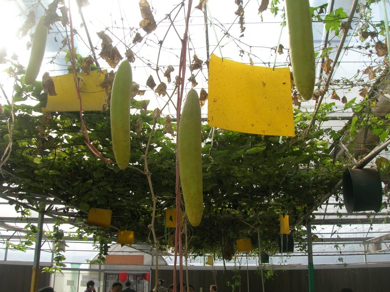 dscn4693.jpg