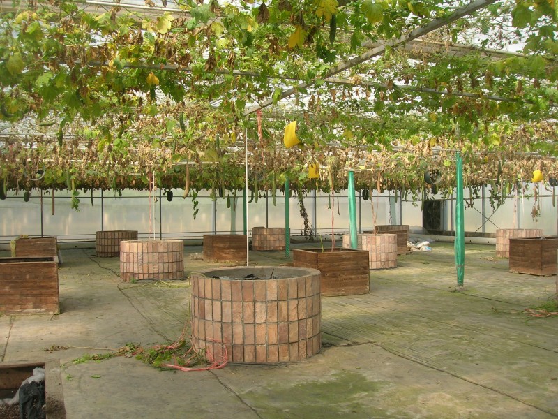 dscn4695.jpg