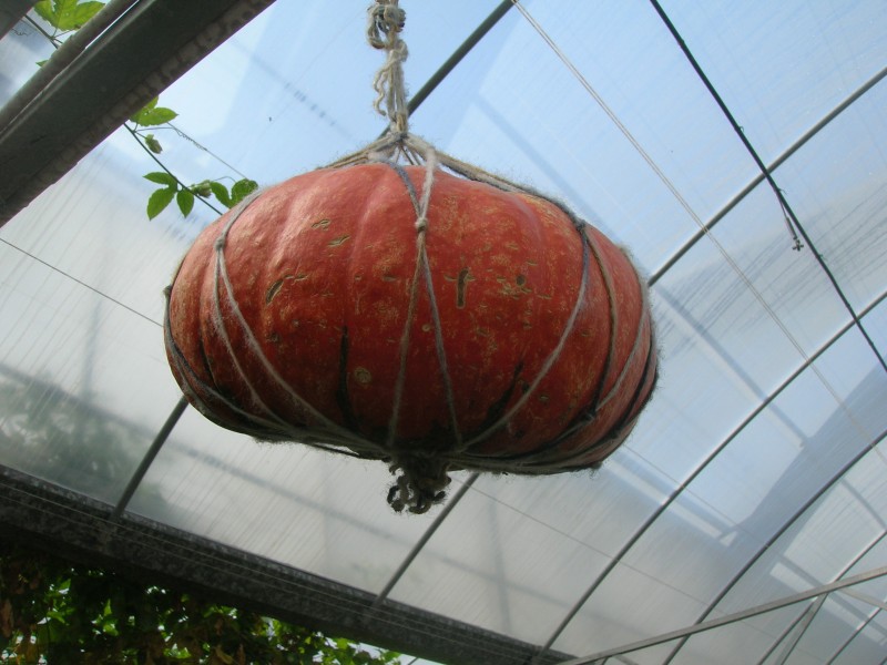 dscn4704.jpg