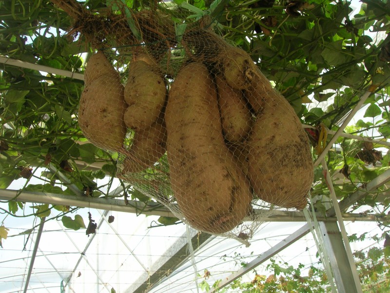 dscn4696.jpg
