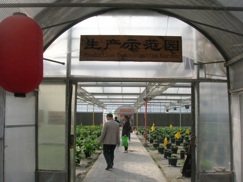 dscn4697.jpg