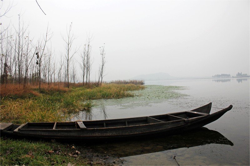conew_img_1875.jpg