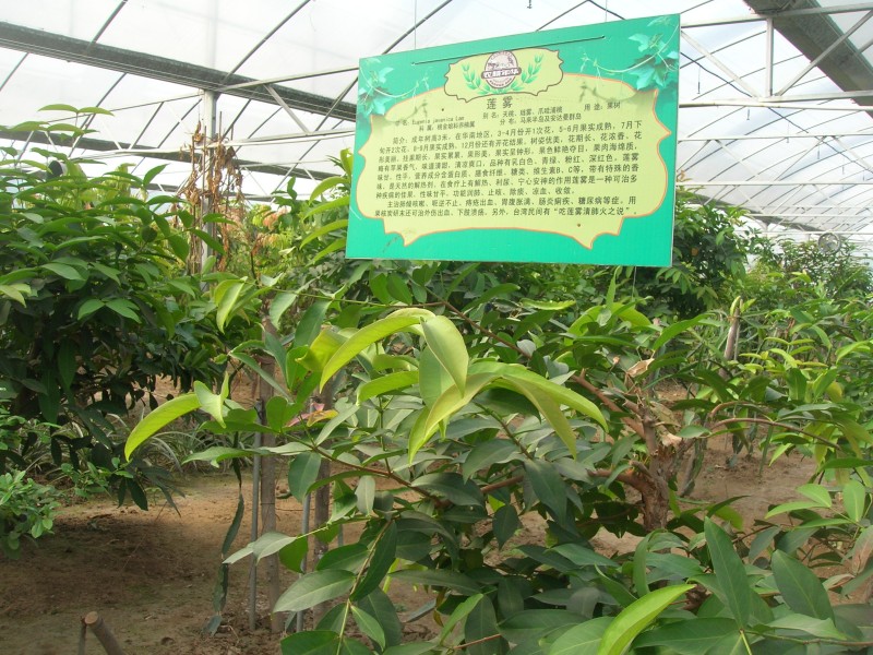 dscn4719.jpg