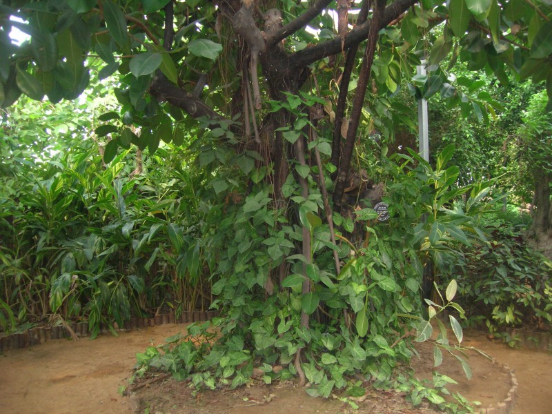 dscn4750.jpg