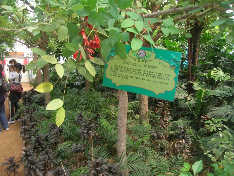 dscn4754.jpg