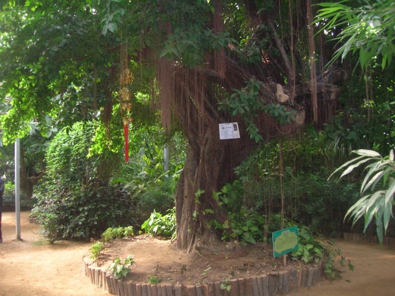 dscn4755.jpg