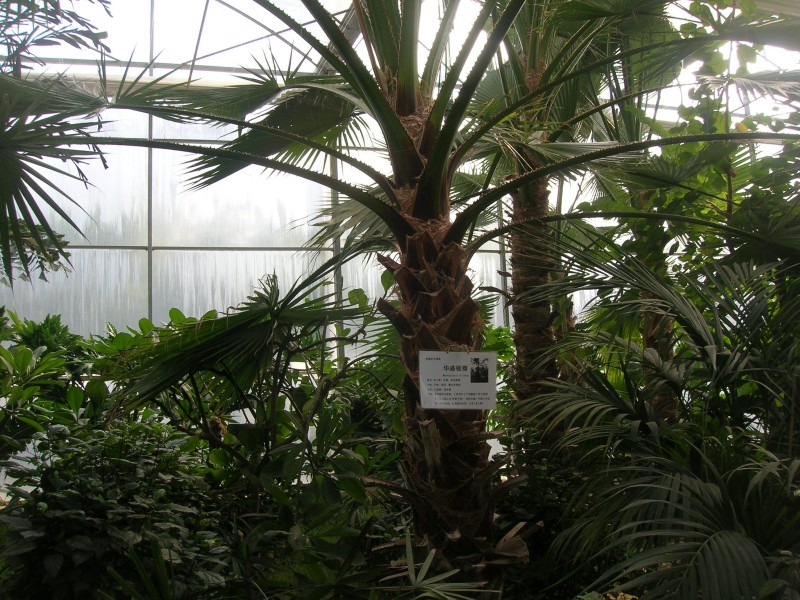 dscn4763.jpg