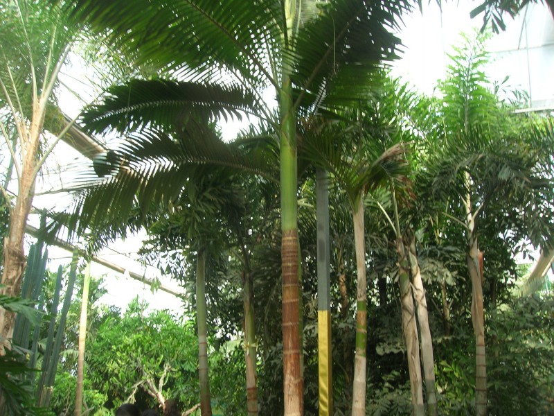 dscn4767.jpg
