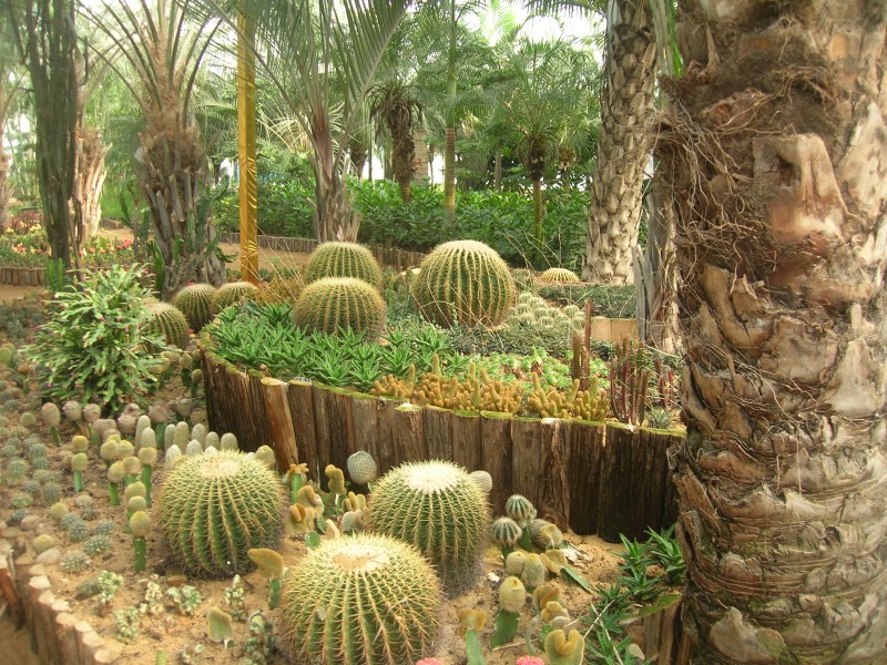 dscn4775.jpg