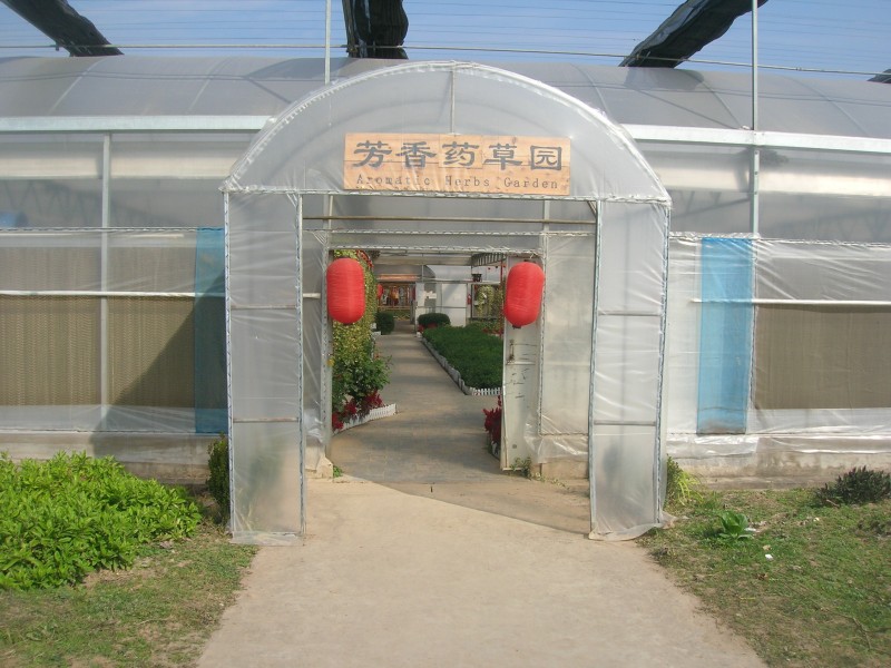 dscn4687.jpg