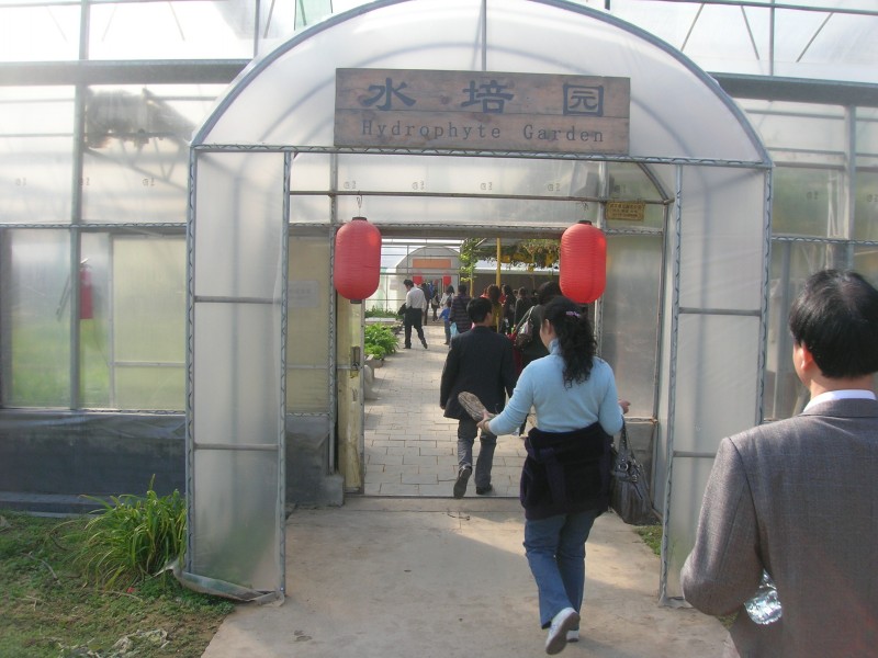 dscn4689.jpg