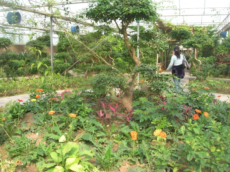 dscn4789.jpg