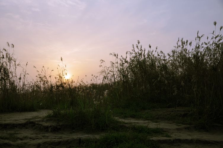 Ƭ 062+.jpg