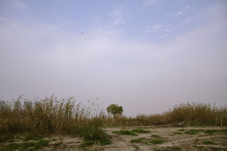 Ƭ 022+.jpg