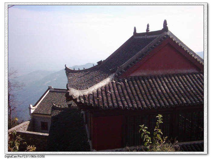 dsci0036.jpg