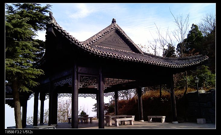 imag0815.jpg