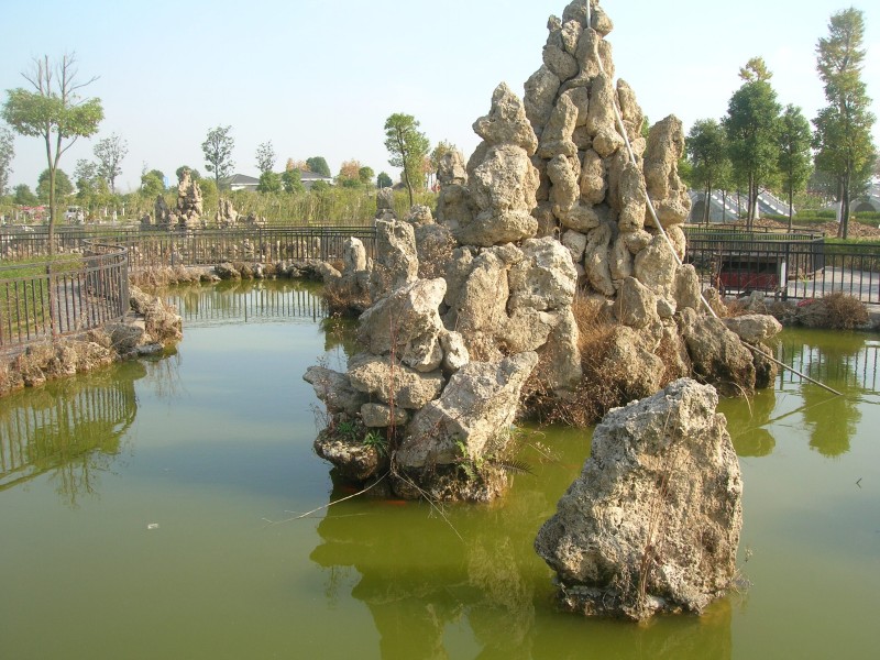 dscn4888.jpg