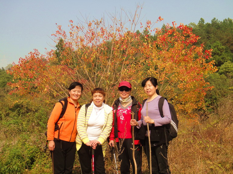 dsc07386.jpg