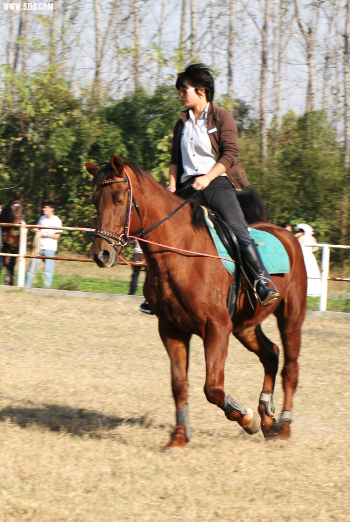 1011220904fc536a1ecaa09403.jpg
