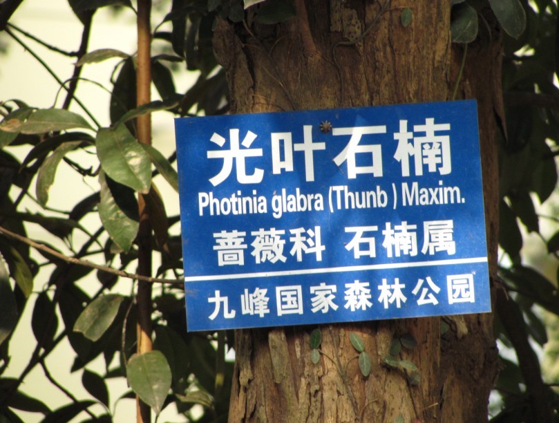 Ҷʯ˵.jpg
