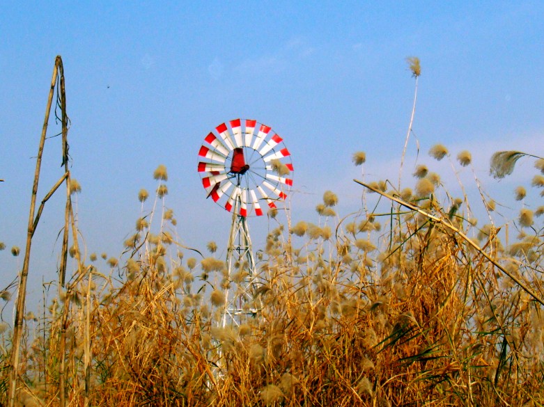 Ƭ 104_conew1.jpg