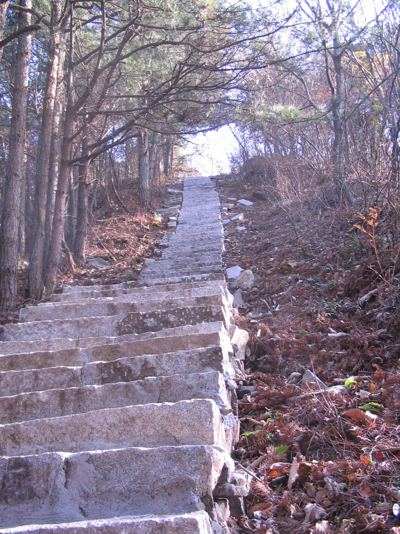 img_1989.jpg