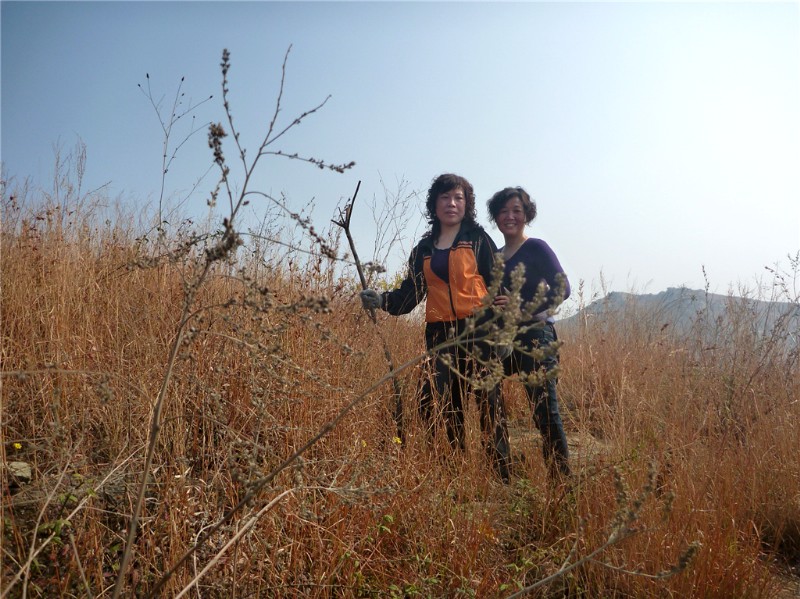 p1030656_.jpg