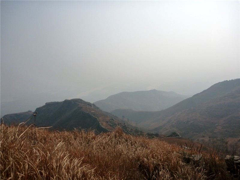 p1030670_.jpg