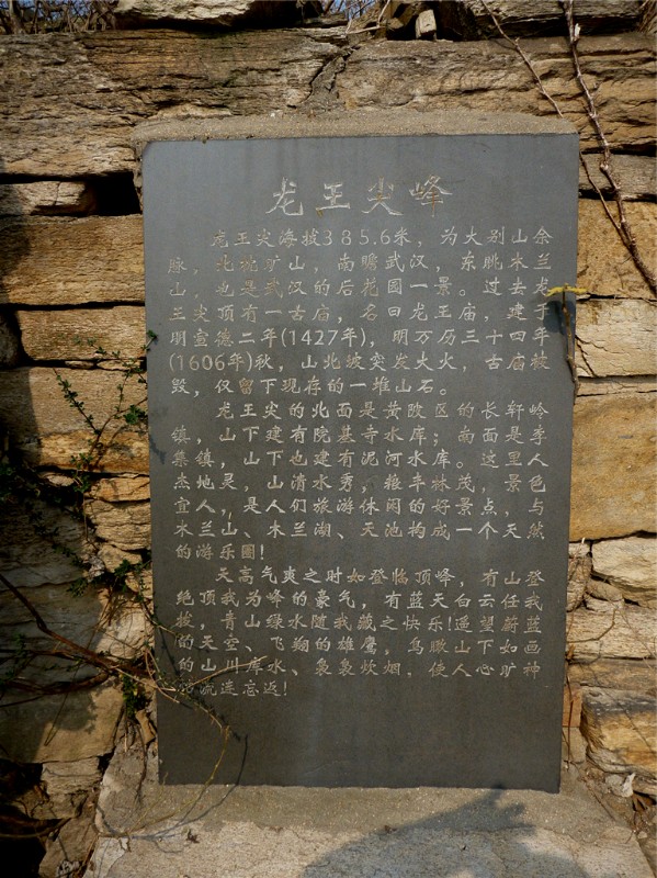p1030673_.jpg