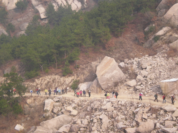 20101128_06.jpg