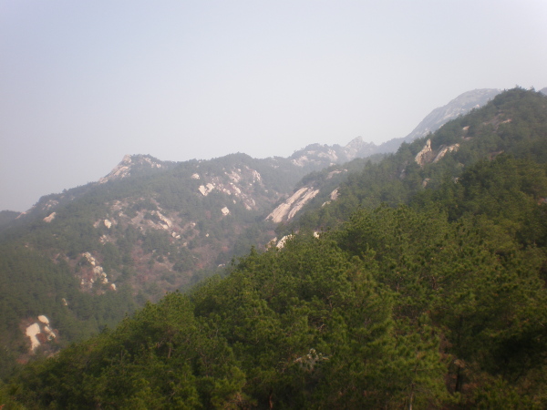 20101128_14.jpg
