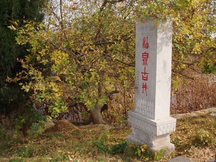 p1010122.jpg