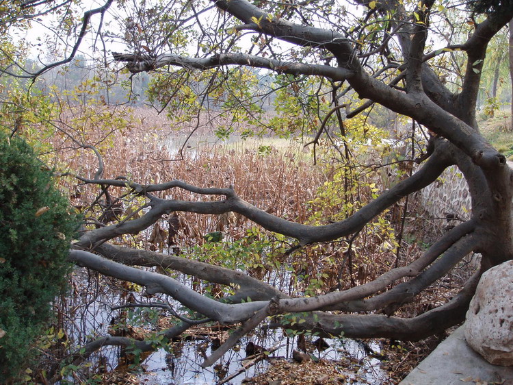 p1010110.jpg