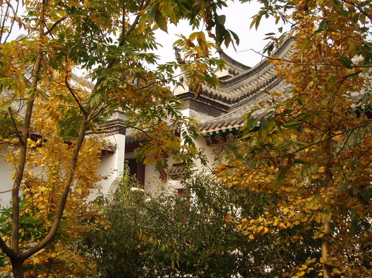 p1010137.jpg