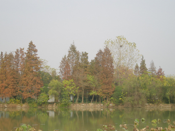 p1010280.jpg