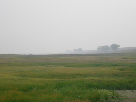 p1010268.jpg