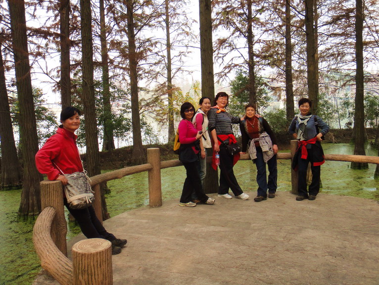 dsc07527.jpg