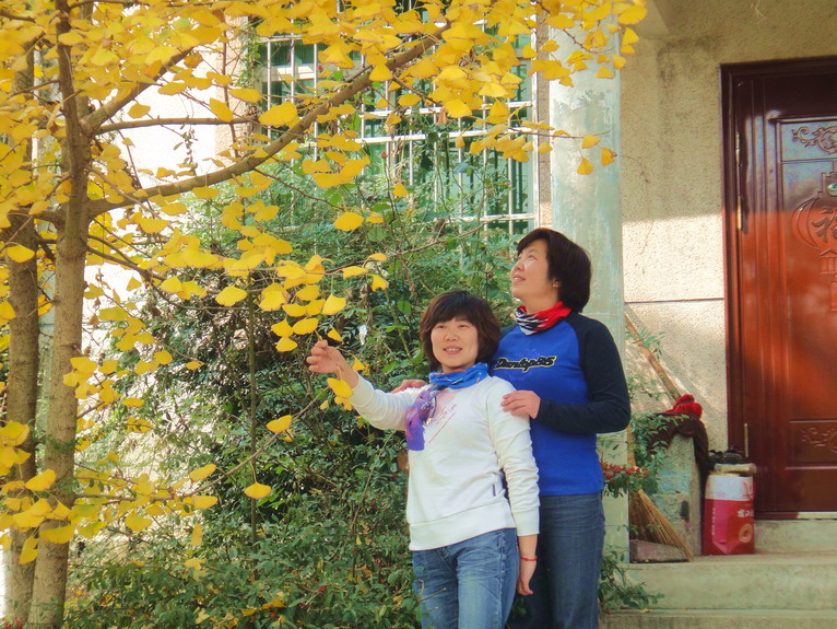 dsc07368.jpg