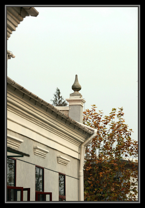 img_7337_1.jpg