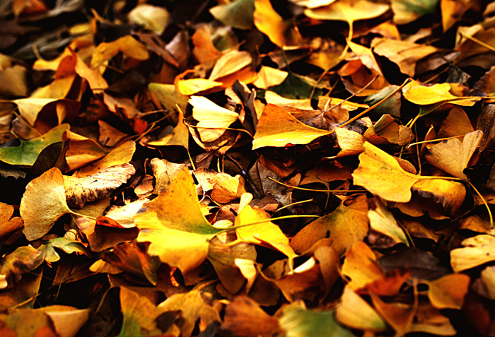 201011299394241997.jpg