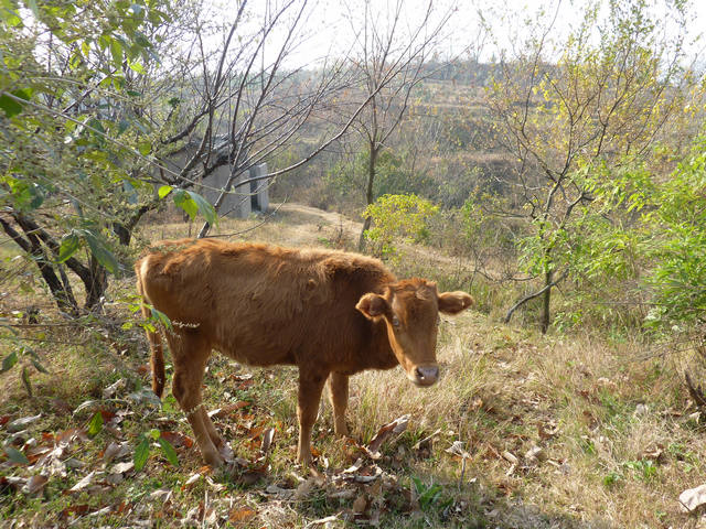 p1110905.jpg