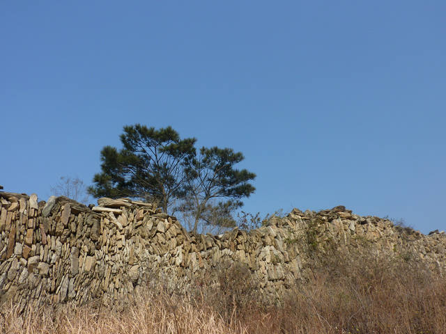 p1120010.jpg