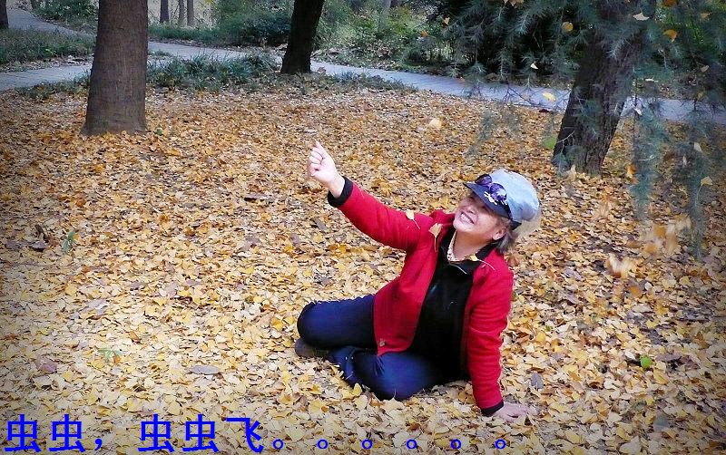 2010112922525832505.jpg