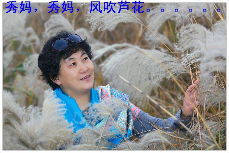 2010112915555472617.jpg