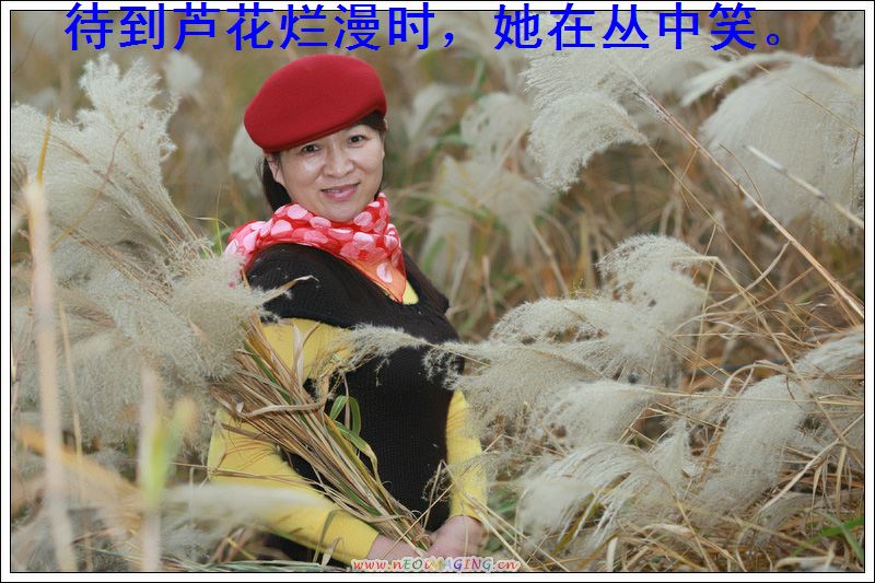 20101129162758178.jpg