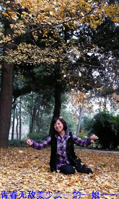 20101129961328661.jpg