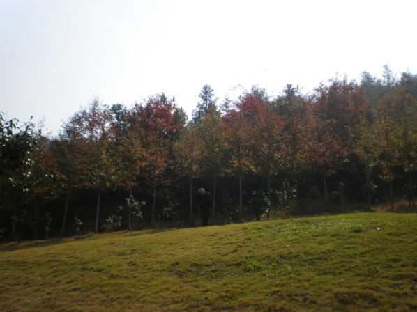 20101031_111.jpg