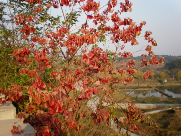 20101031_140.jpg