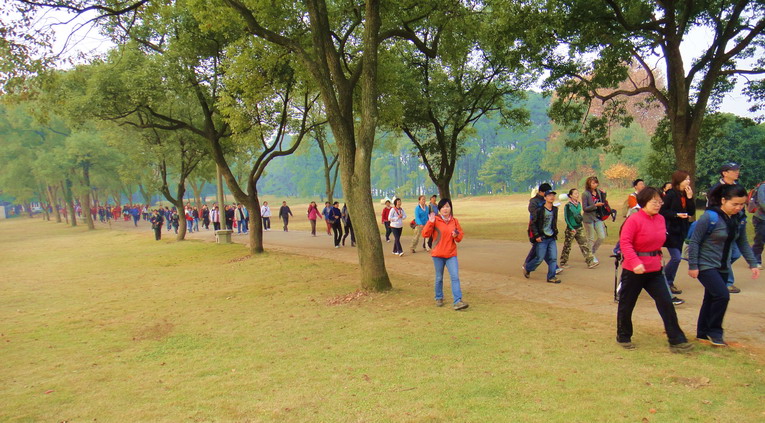 dsc07503.jpg